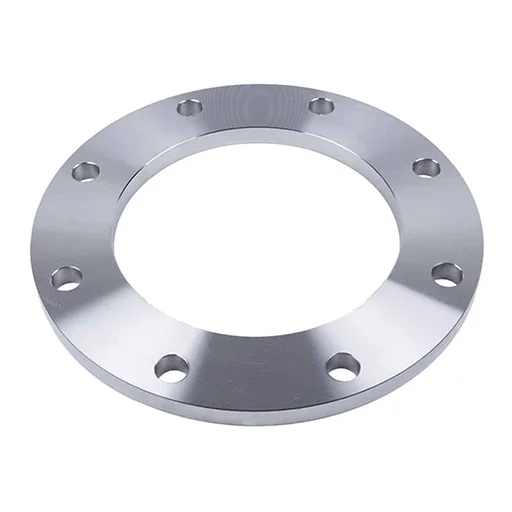 Blind Swivel Ring Flanges